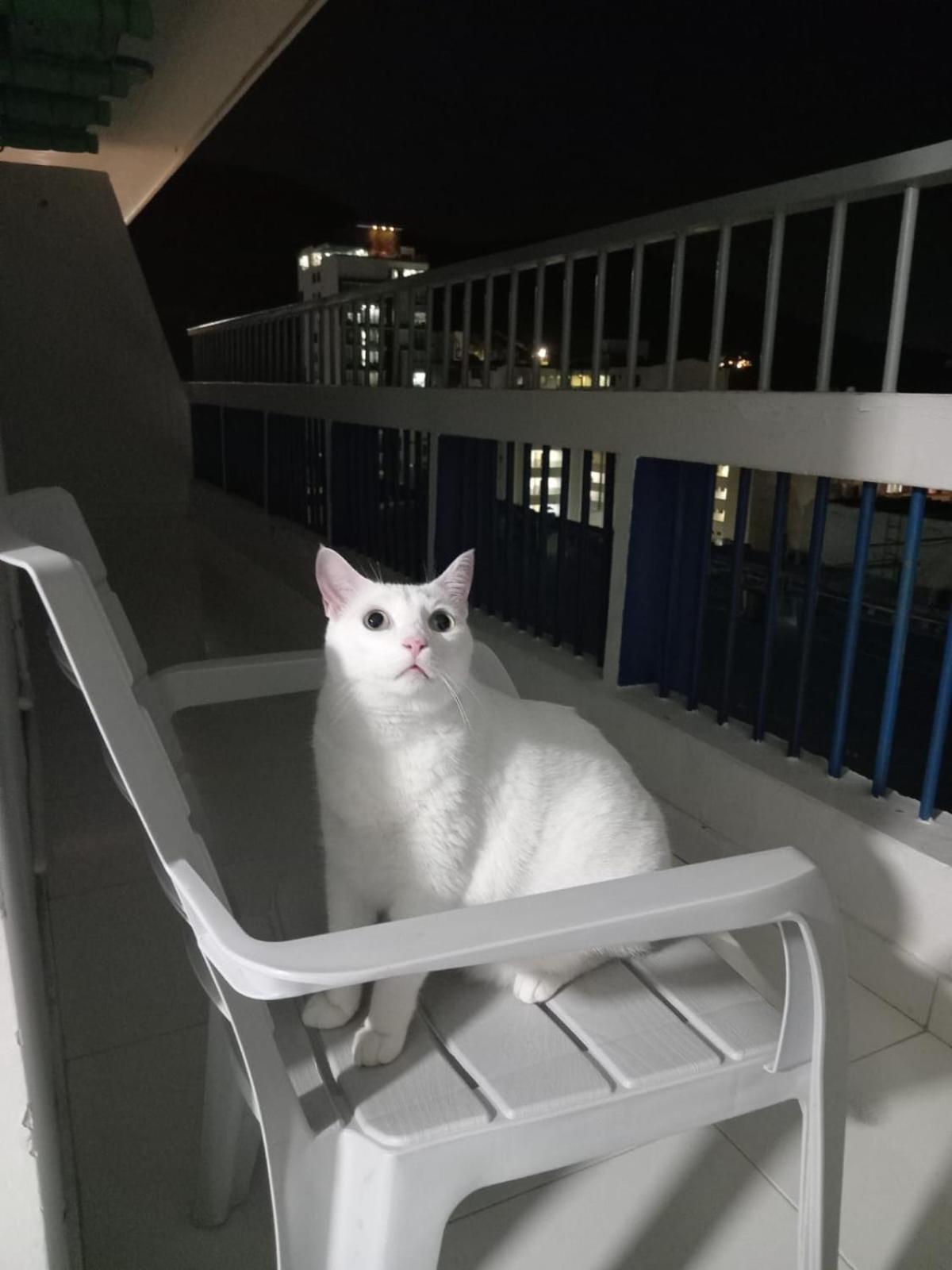 Balcon Del Rodadero